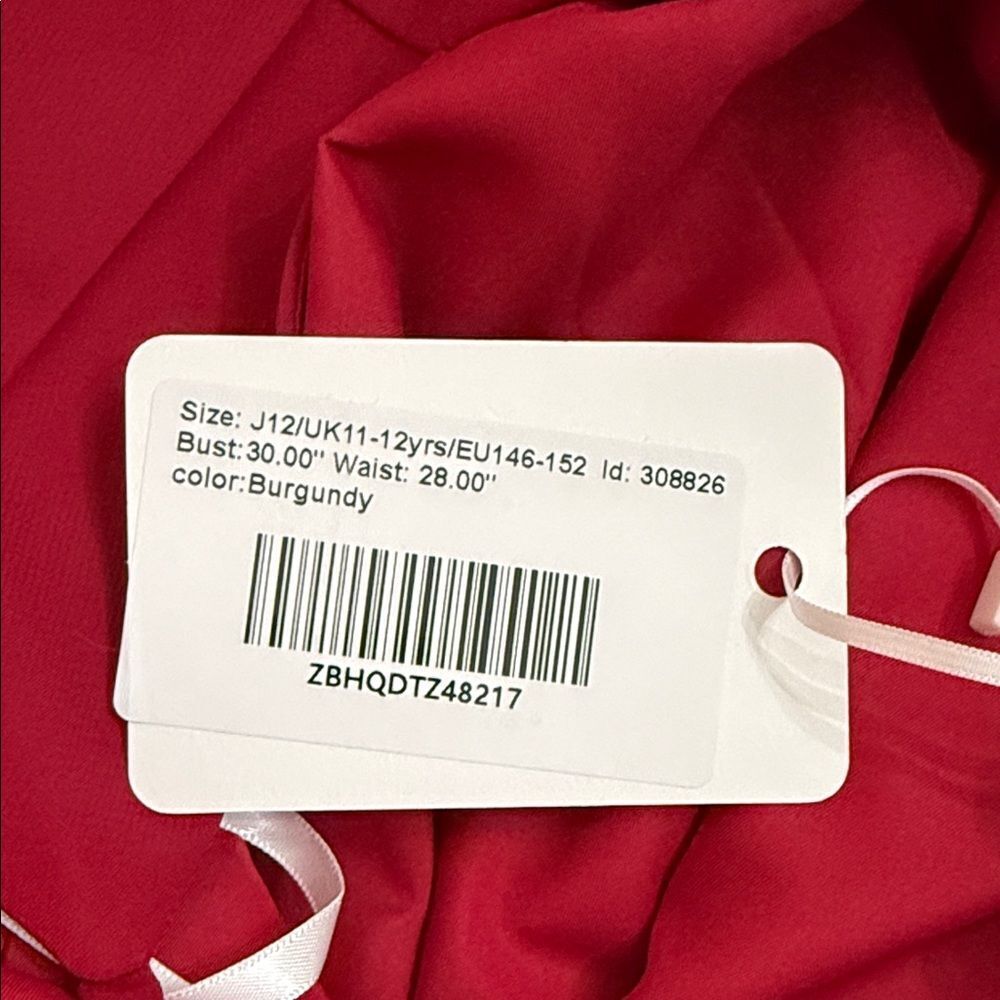 JJ’s House Burgundy Chiffon Fit & Flare Dress Youth J12 (11–12 yrs) NWT - Picture 10 of 10